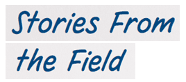 Stories from the Field